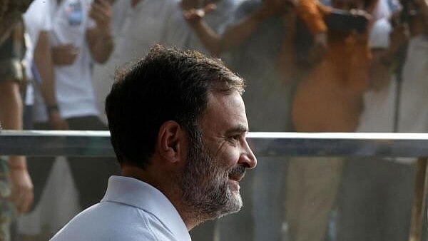 <div class="paragraphs"><p>Rahul Gandhi.</p></div>