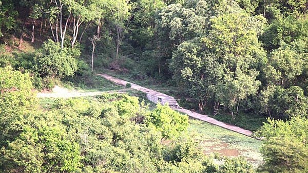 <div class="paragraphs"><p>Bannerghatta National Park (BNP)</p></div>