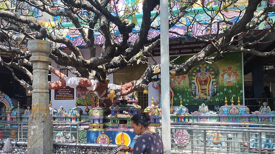 <div class="paragraphs"><p>The Bande Mahakali temple in&nbsp;Gavipuram is known for ‘Thade Hodisodu’, a ritual to cast off ‘evil eyes’.&nbsp;&nbsp;</p></div>