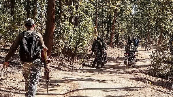 <div class="paragraphs"><p>The forest is located in Chhattisgarh's Gariaband district, adjacent to Odisha's Nuapada district. (Representative image)</p></div>