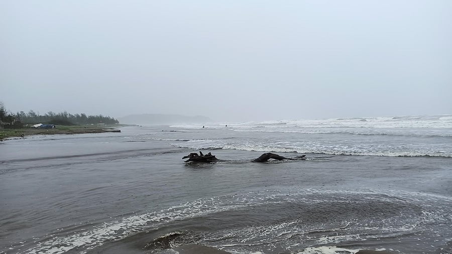 <div class="paragraphs"><p>A lifeguard agency has also installed red flags along the coast to dissuade swimmers. (Representative image)</p></div>