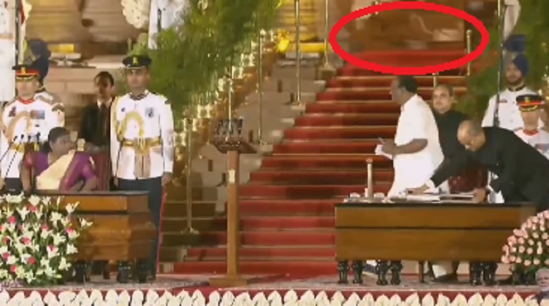 <div class="paragraphs"><p>Video screengrab showing an animal walking in the background, circled in red.</p></div>