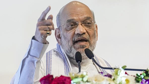 <div class="paragraphs"><p>Union Home Minister Amit Shah</p></div>