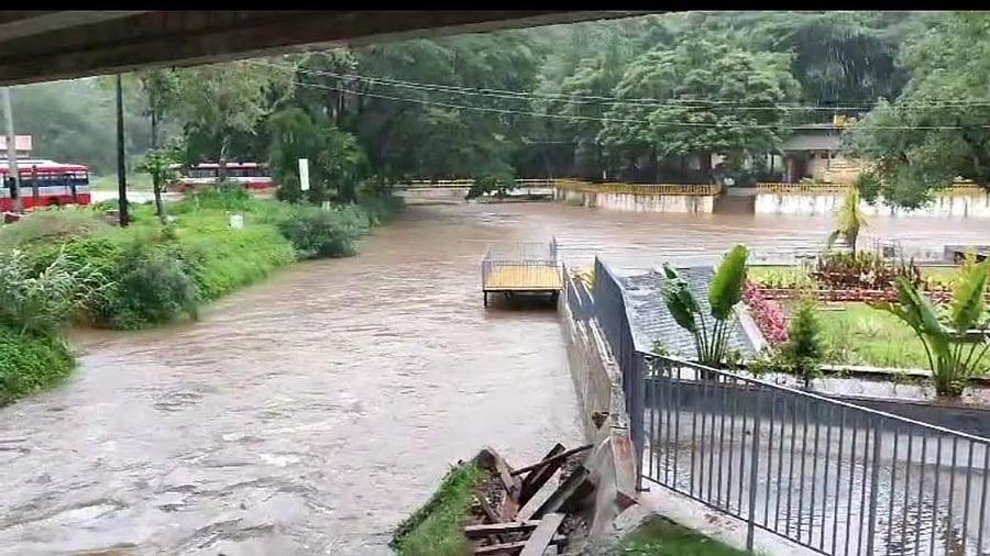 <div class="paragraphs"><p>A view of water-level in Triveni Sangama at Bhagamandala. </p></div>