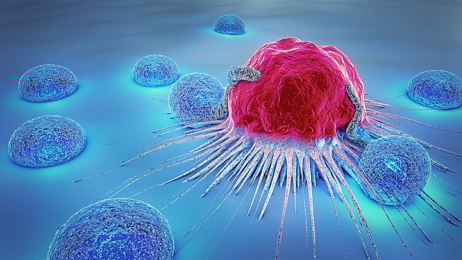 <div class="paragraphs"><p>Traditionally, cancer treatment relied on surgery,&nbsp;chemotherapy, and radiation. Targeted therapies using&nbsp;molecular alterations in cancer cells have since emerged, alongside immunotherapy, which bolster the&nbsp;immune system to fight tumours, marking a significant&nbsp;shift in cancer treatment approaches.</p></div>