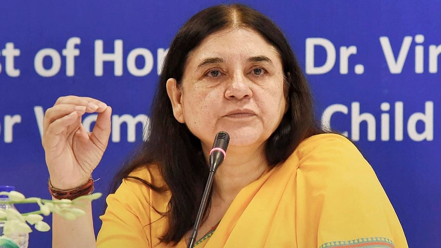 <div class="paragraphs"><p>BJP's Maneka Gandhi.</p></div>