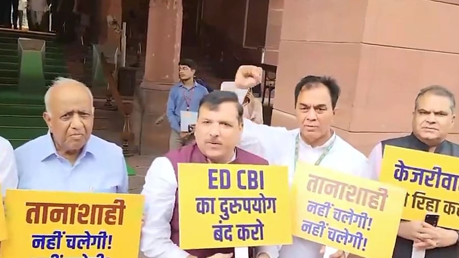 <div class="paragraphs"><p>AAP MPs protesting against Arvind Kejriwal's arrest by CBI, June 27, 2024.</p></div>