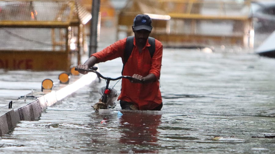 <div class="paragraphs"><p>A cyclist wades through a waterlogged road amid rains, in New Delhi, Friday morning, June 28, 2024.</p></div>