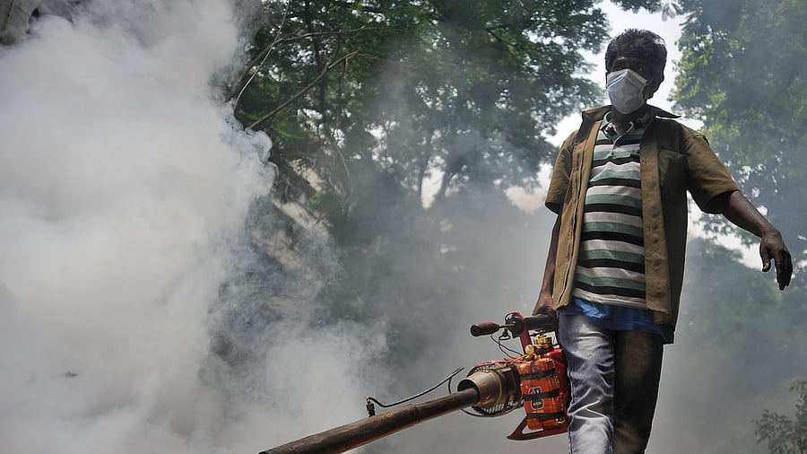 <div class="paragraphs"><p>A BBMP worker fumigates an area at Cubbon Park.</p></div>