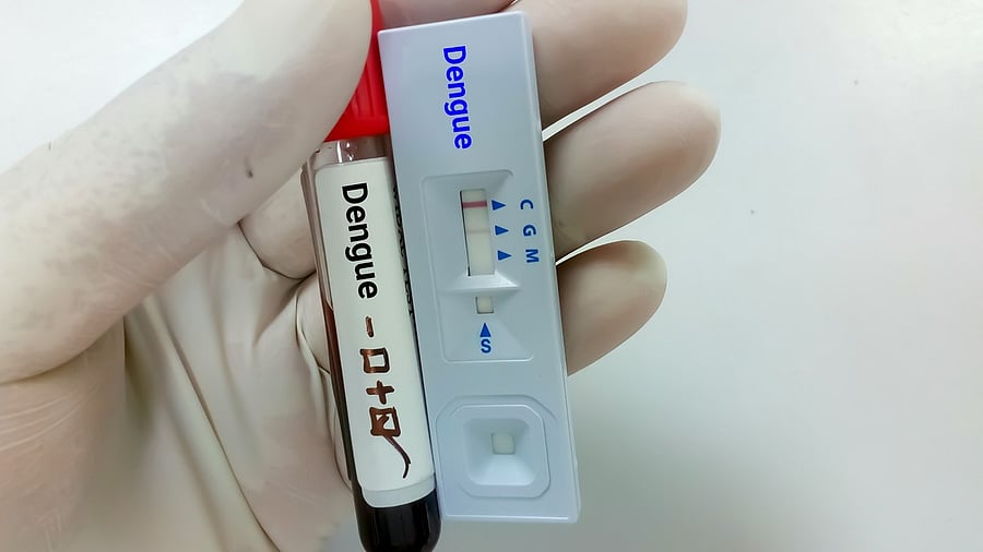 <div class="paragraphs"><p>The four-year-old girl, from Mummigatti village in Dharwad taluk, was suffering from fever and was admitted to SDM hospital for treatment on Monday.&nbsp;She breathed her last on Tuesday, officials said.</p></div>