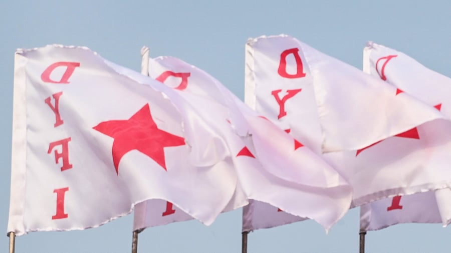 <div class="paragraphs"><p>DYFI flags.</p></div>