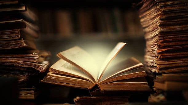 <div class="paragraphs"><p>Image for representation.</p></div>