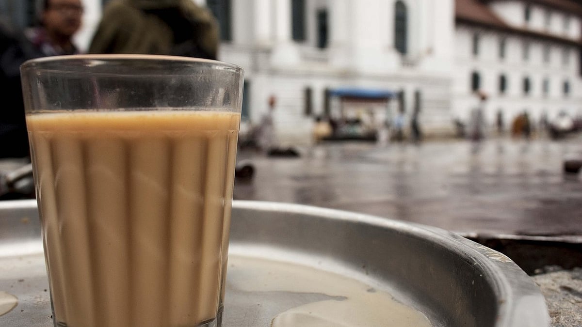 The Tea That Drank Up the Night: A Reflection on Solitude and Ritual