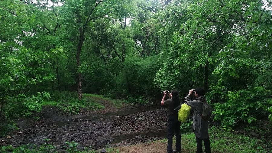 <div class="paragraphs"><p>67 species of birds were seen in Sanjay Gandhi National Park in one day.</p></div>