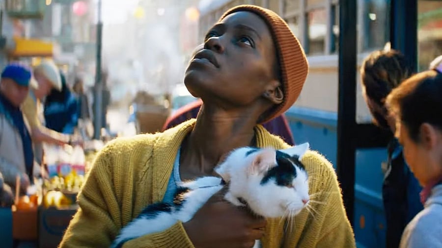 <div class="paragraphs"><p>A still from the movie 'A Quiet Place: Day One'.</p></div>