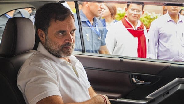 <div class="paragraphs"><p>Leader of Opposition Rahul Gandhi.</p></div>