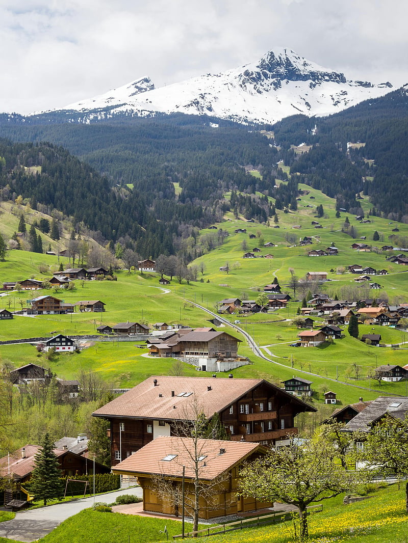 In Pics| 10 countries with the best environment in 2024