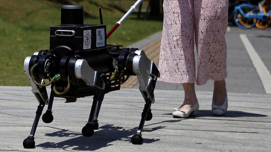 <div class="paragraphs"><p>Image showing a robot dog. For representational purpose.</p></div>