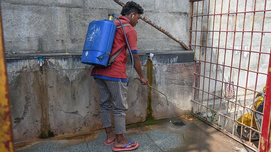 <div class="paragraphs"><p>The state has seen a total of 4,624 dengue cases and six deaths this year. </p></div>