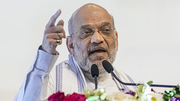 <div class="paragraphs"><p>Union Home Minister Amit Shah.</p></div>