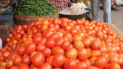 <div class="paragraphs"><p>Tomato prices have skyrocketed in Delhi-NCR region. </p></div>