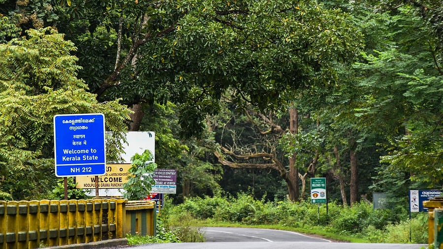 <div class="paragraphs"><p>Representative image of Kerala forests. </p></div>