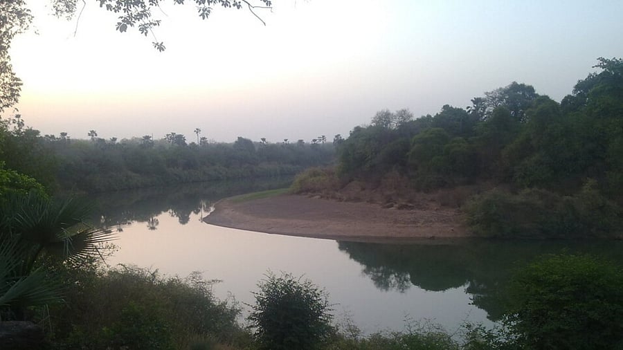 <div class="paragraphs"><p>A view of the&nbsp;Niokolo-Koba National Park in Senegal.</p></div>