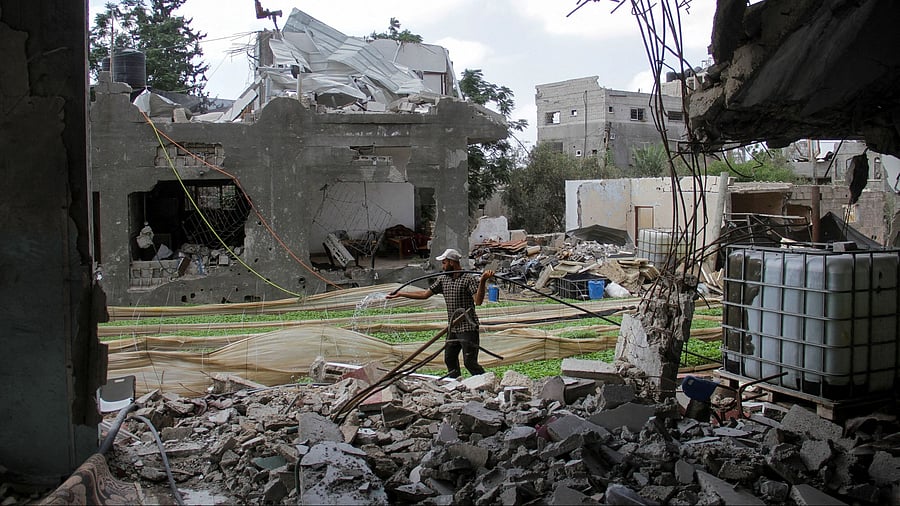 <div class="paragraphs"><p>Palestinian farmer Youssef Abu Rabie works in a field growing seedlings to combat food shortages, amid the ongoing conflict between Israel and Hamas, in Beit Lahia in the northern Gaza Strip July 25, 2024. </p></div>