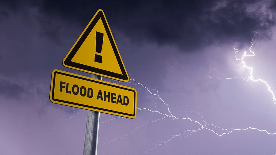 <div class="paragraphs"><p>Representative image.</p></div>