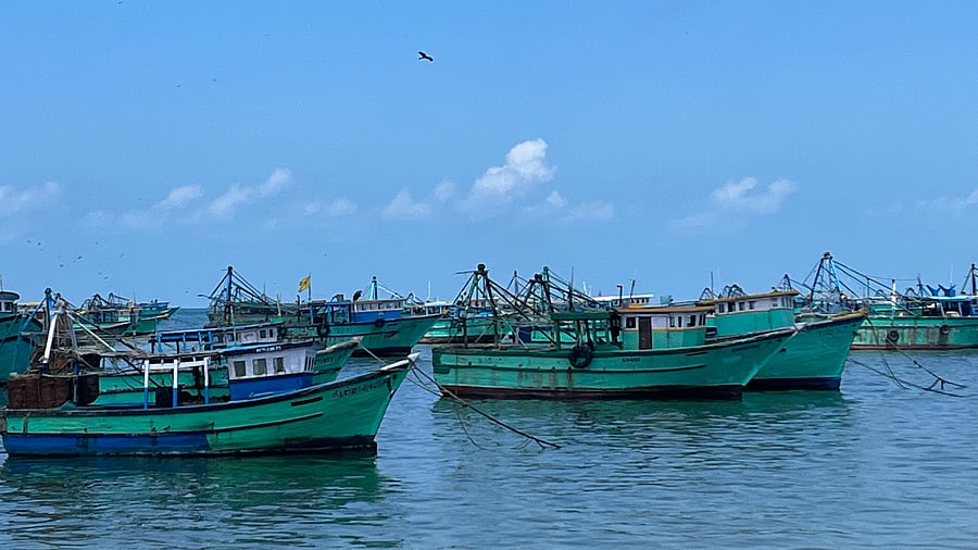 <div class="paragraphs"><p>File photo for representational purpose</p></div>