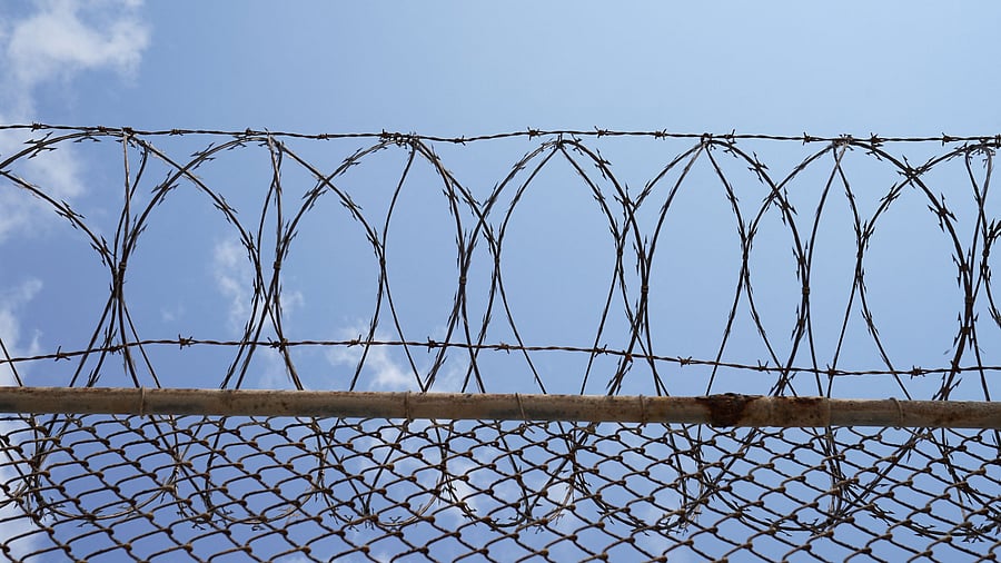 <div class="paragraphs"><p>Representative Image showing barbed wire.</p></div>