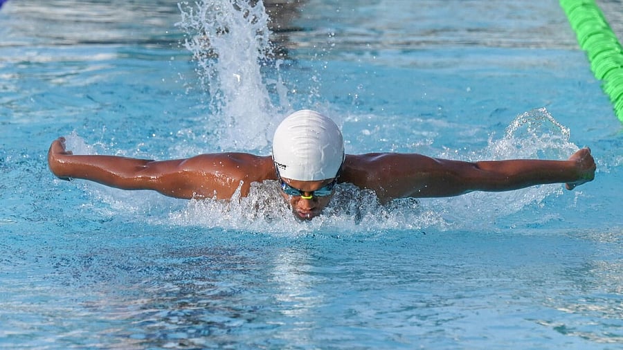 <div class="paragraphs"><p>Representative image.</p></div>