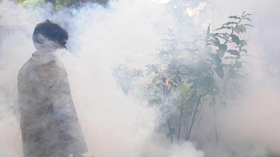 <div class="paragraphs"><p>The total number of positive dengue cases in Karnataka breached the 10,000-mark on Tuesday, with the state recording 10,449 cases, with 358 active hospitalisations. </p><p><br></p></div>