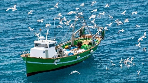 <div class="paragraphs"><p>Representative image of a fishing vessel.</p></div>