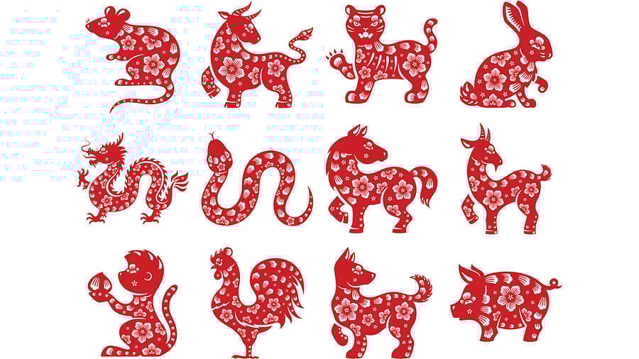 <div class="paragraphs"><p>Chinese zodiac signs are seen in this image.</p></div>