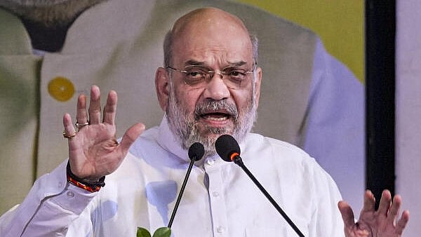 <div class="paragraphs"><p>Union Home Minister Amit Shah. </p></div>