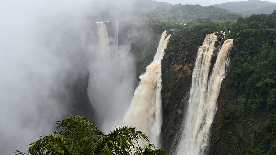 <div class="paragraphs"><p>Jog Falls</p></div>