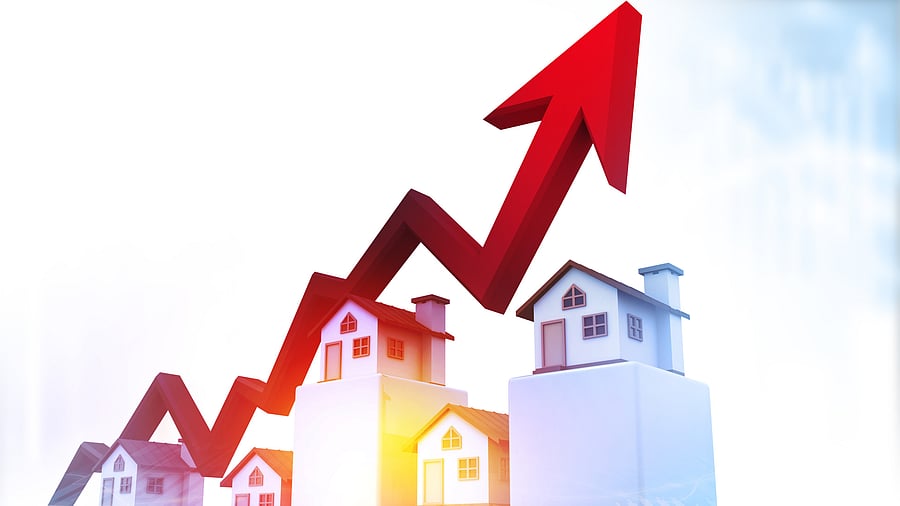 <div class="paragraphs"><p>Image for representation.</p></div>