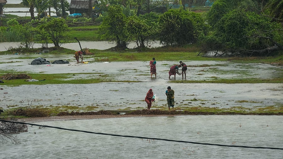 <div class="paragraphs"><p>Representational picture of fishing&nbsp;</p></div>