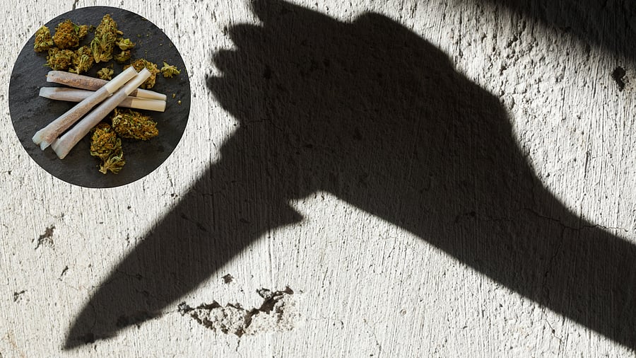 <div class="paragraphs"><p>Image showing the silhouette of a knife and an inset showing ganja. For representational purposes.</p></div>