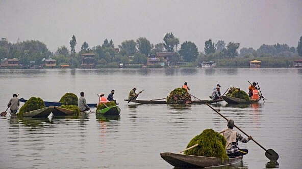 <div class="paragraphs"><p>Boatmen clean the Dal Lake on a cloudy day, in Srinagar.</p></div>