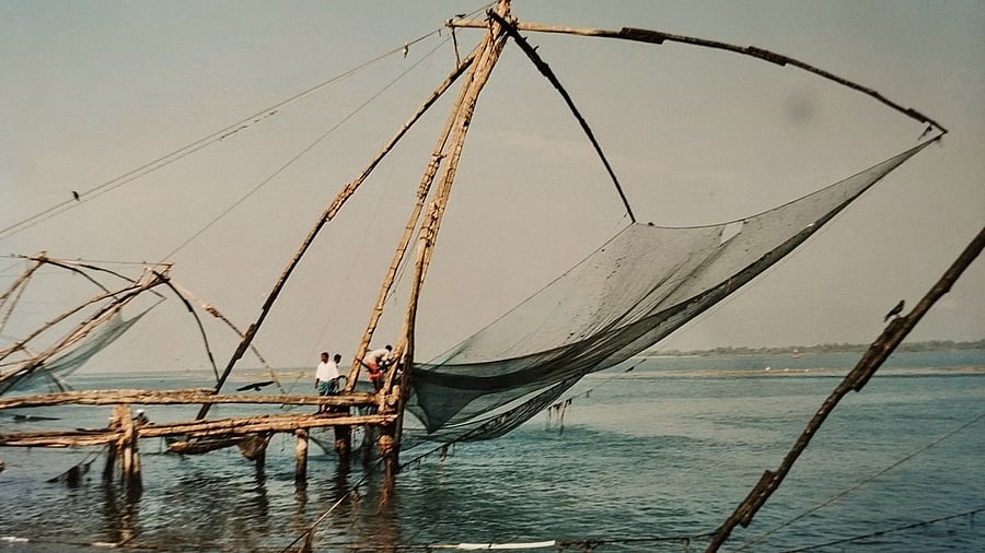<div class="paragraphs"><p>Among the five countries, India's fishery sector suffers the most, losing 5.4 per cent ($2.2 billion) of its economic value annually, followed by Kenya (5.1 per cent).&nbsp;</p></div>