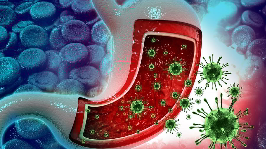 <div class="paragraphs"><p>Image for representation.</p></div>