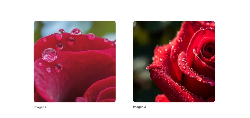 Google Image 3 Example Google to finally relaunch Gemini AI image generator feature with ...
