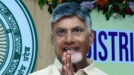 <div class="paragraphs"><p>Andhra Pradesh Chief Minister N Chandrababu Naidu.</p></div>