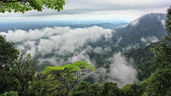 <div class="paragraphs"><p>Agumbe Ghat.&nbsp;</p></div>