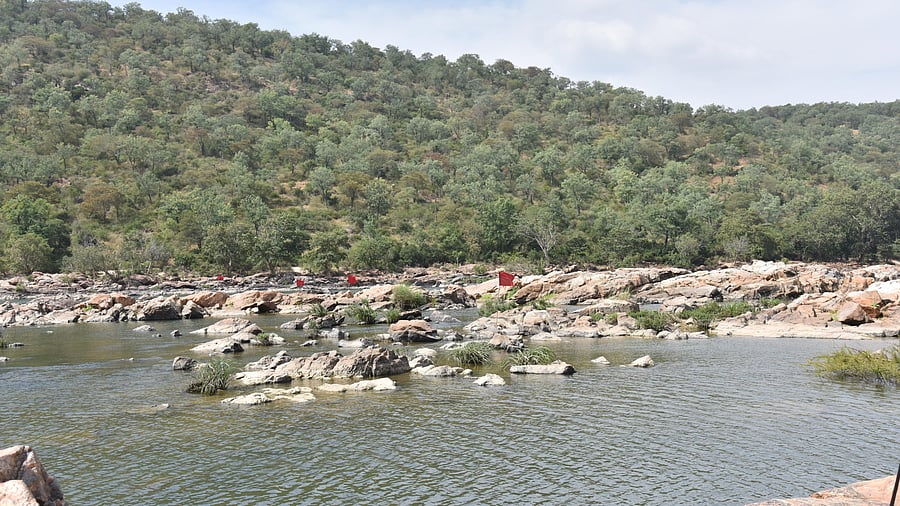 <div class="paragraphs"><p>The spot identified by Karnataka for construction of balancing reservoir at Mekedatu in Ramanagara district. </p></div>