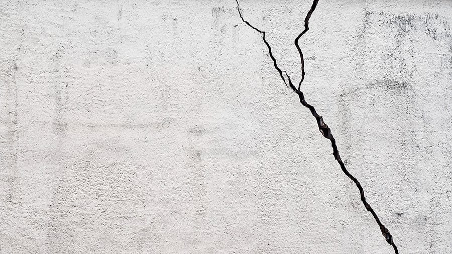 <div class="paragraphs"><p>Photo for representational purpose.</p></div>