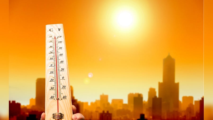 <div class="paragraphs"><p>Representative image.</p></div>