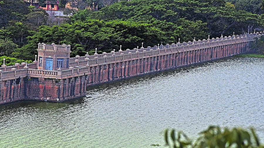 <div class="paragraphs"><p>A view of the TG Halli reservoir. </p></div>